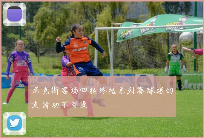 尼克斯客场四轮终结系列赛球迷的支持功不可没